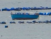 sea-4.jpg