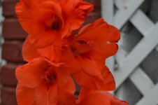 ImageUploadedByTapatalk HD1374639029.744557.jpg