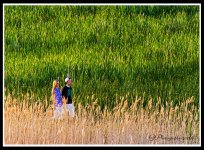 Day204SunsetWalk.jpg