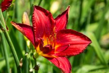 DSC_1709.jpg