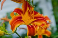 20130724-_1RB8725.jpg