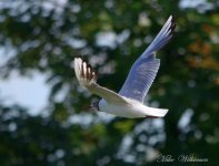 DSC_8011.JPG