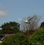 DSC_8154.JPG