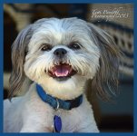 Brutus pic 1 7-26.jpg
