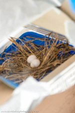 _DW17347-egg.jpg