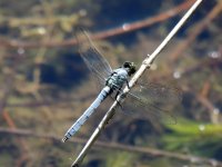 DSCN8951.jpg