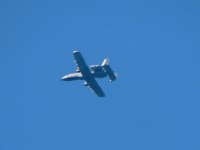 DSCN9006.jpg