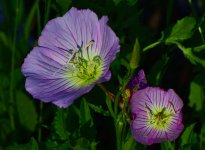 _ROY7854_01.jpg