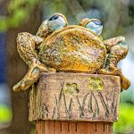 710_8507-Edit.jpg