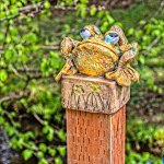 710_8518-Edit.jpg