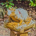 710_8524-Edit.jpg