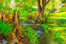 710_8538-Edit.jpg