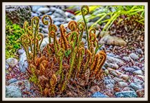 710_8618-Edit.jpg