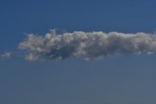 _ROY9487_01.jpg