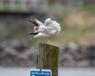 _5DX0215 low res.jpg