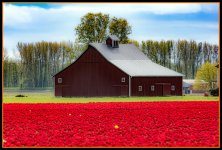 1-DSC_4758.jpg