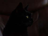 Dell on Chair 1 (1 of 1).jpg