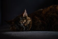 DSC_3859.jpg