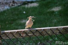 DSC_1360.jpg