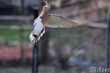 DSC_1382.jpg