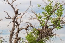 EaglesNest-204.jpg