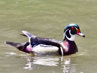 _ROY2894_01.jpg