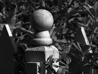 FencePost.jpg