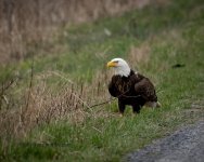 DSC_1180.jpg