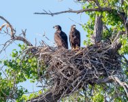 EagleNest-226.jpg