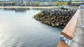 710_9783.JPG