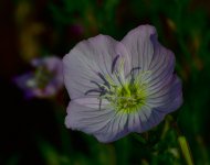 _ROY3869_01.jpg