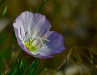 _ROY3874_01.jpg