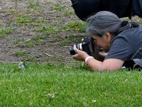 Photog6.jpg