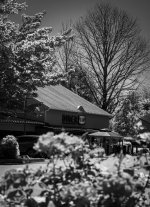 Diner 248 (1 of 1).jpg