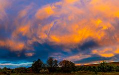 _7506836-Pano-001.jpg