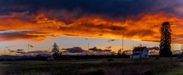 _7506871-Pano.jpg