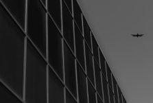 Glass Wall and Vulture 1 (1 of 1).jpg