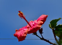 _ROY3881_01.jpg