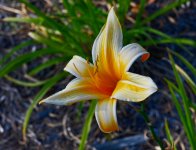 DSC_0018.jpg