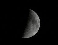DSC_0040.jpg