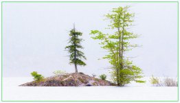 DSC_5402-Edit-2-2.jpg