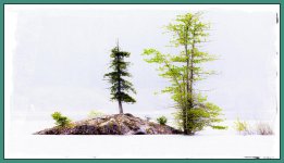 DSC_5402-Edit-2.jpg
