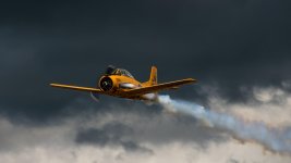 DSC_8105-2.jpg