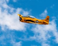 DSC_8060.jpg