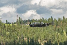 DSC_8362.jpg
