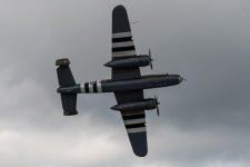DSC_8382.jpg