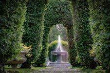 DSC_9311.jpg