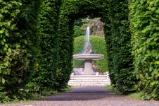 DSC_9317.jpg