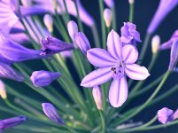 ROY_0519.JPG