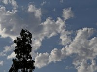 Clouds.jpg